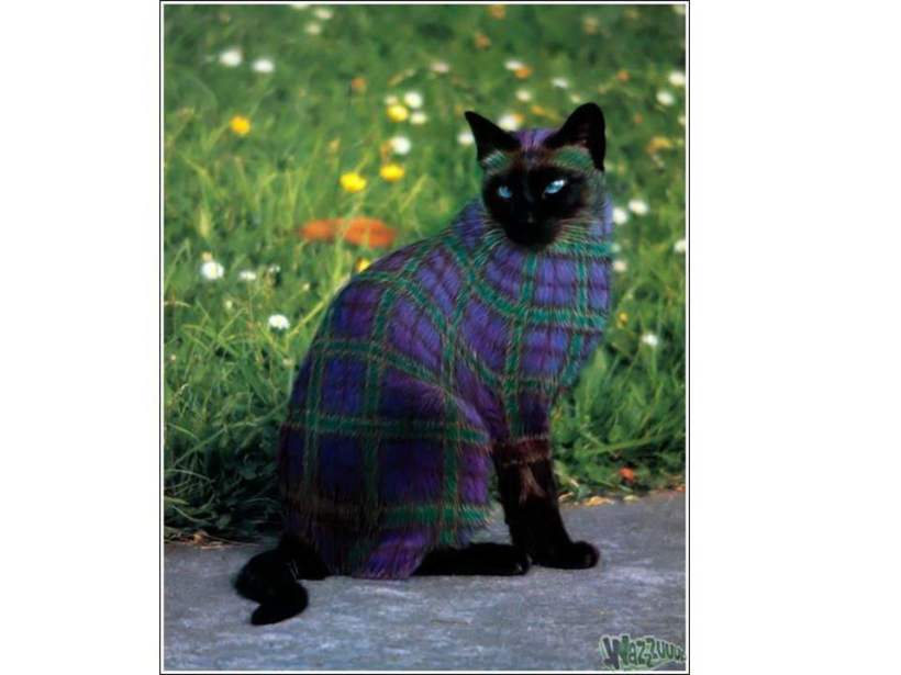 Burton Silver/Heather Busch