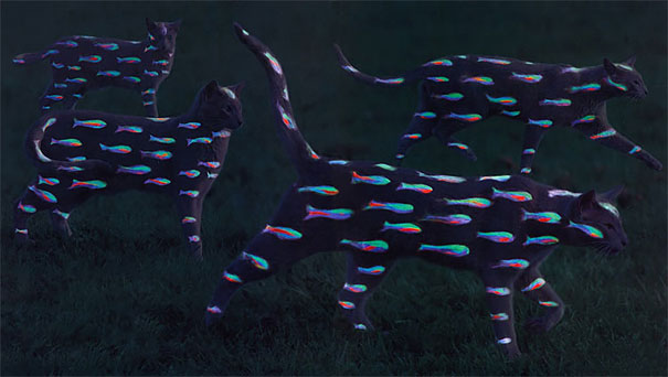 Burton Silver/Heather Busch