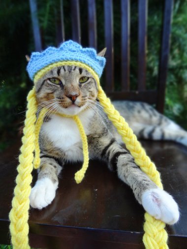 Catpunzel. I kid you not. By IHeartNeedlework