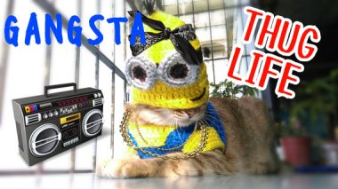 PETA is on their way. In the meantime, HAHAHAHAHAHAHA. By SoChaChaWonderlandTW