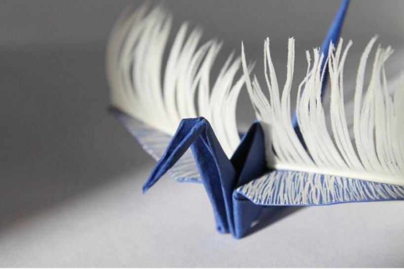 ©Cristian Marianciuc