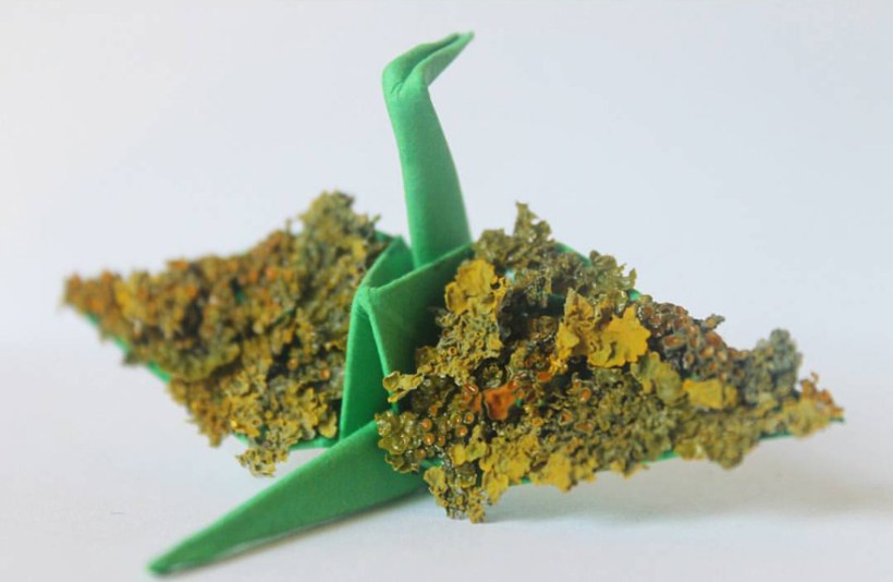 ©Cristian Marianciuc