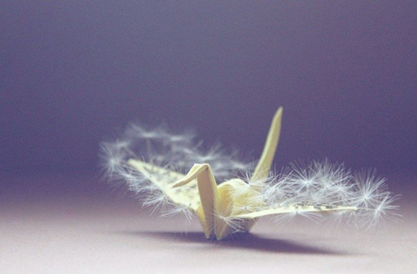 ©Cristian Marianciuc