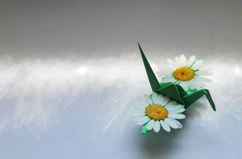 ©Cristian Marianciuc