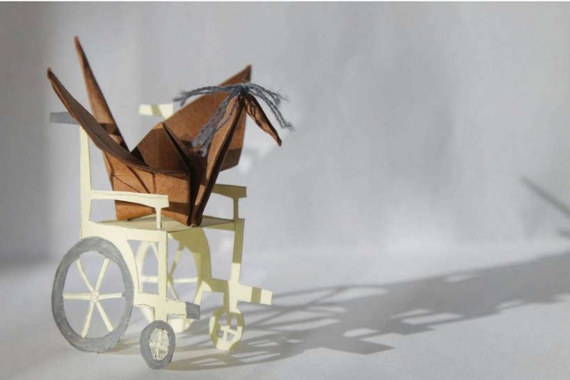 ©Cristian Marianciuc