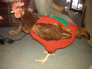 Chicken sweater! By BagsAndMoreByPam