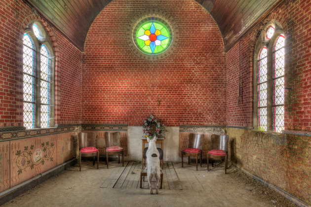 ALICE VAN KEMPEN/CATERS NEWS