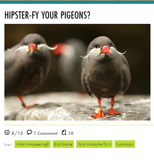 pinterestyouaredrunk.com