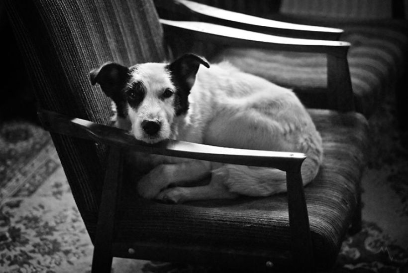 Metteorwa Zvaná Čá