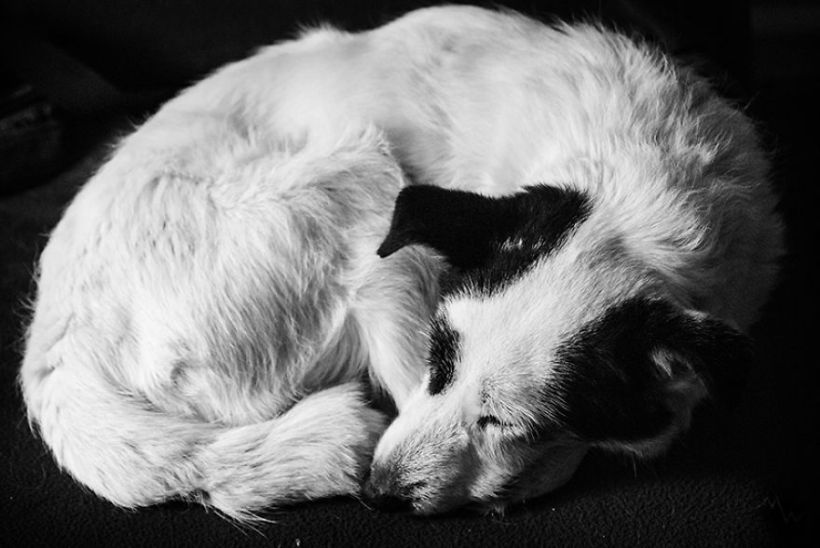 Metteorwa Zvaná Čá