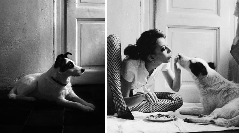 Metteorwa Zvaná Čá