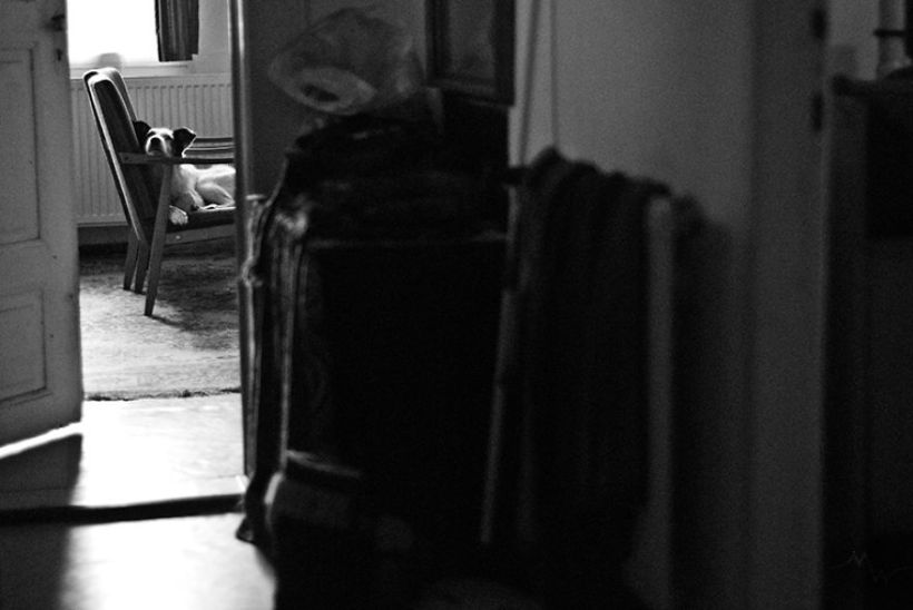 Metteorwa Zvaná Čá