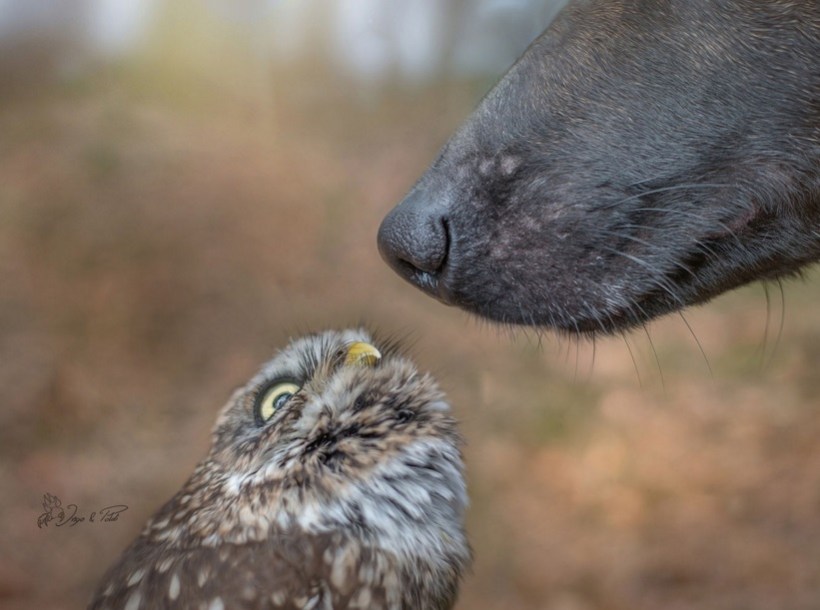 Tanja Brandt