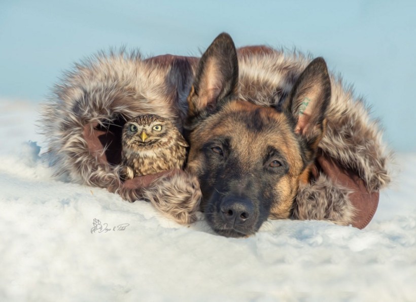 Tanja Brandt