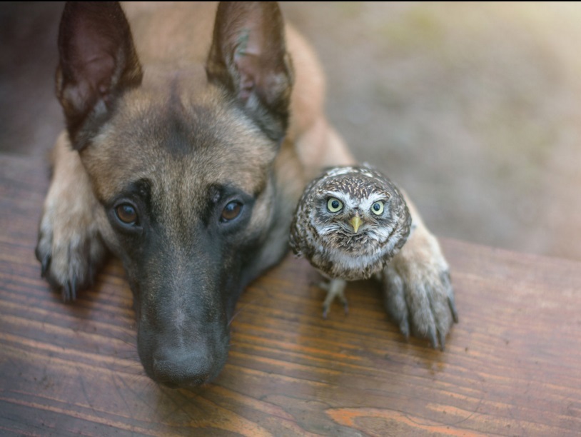 Tanja Brandt