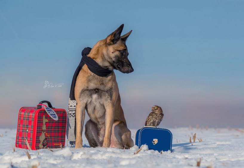 Tanja Brandt