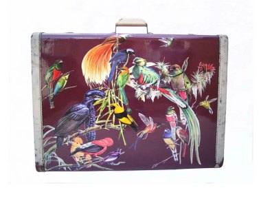"Upcycled" suitcase covered in decoupaged birds for $654. By uoldbag