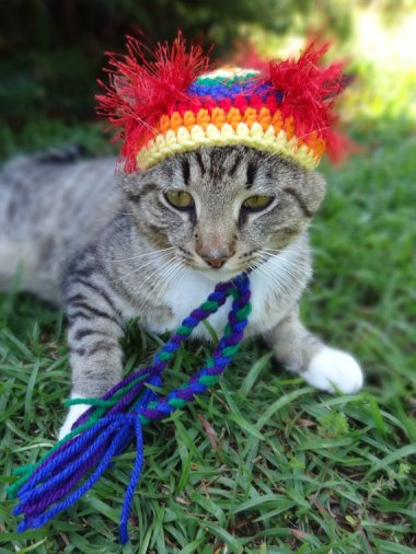 I can't wait to have pets again, so I can dress them up and piss them off! By iheartneedlework