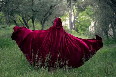 You could make quite an entrance in this gorgeous cape! Of course, you'd also sweep the floors every time you took a step, but it's really spectacular. By CostureroReal
