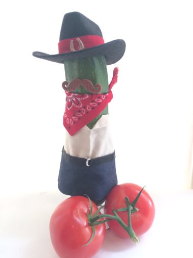 This costume is called the "Bone Ranger," and I leave it up to your imagination how exactly one would wear it.