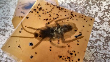 This soap is the reason I always have antibacterial handwash in my bag.