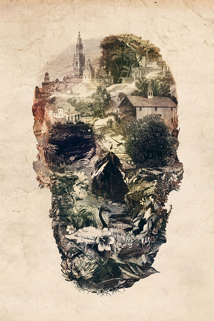 skull-2