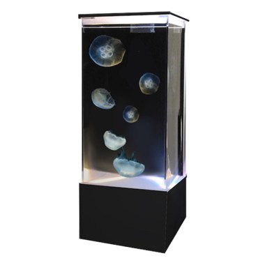 Sunset Marine Labs 20 Gallon Jelllyfish Aquarium ($1,600) This is honestly the first thing I'd buy if I won the lottery.