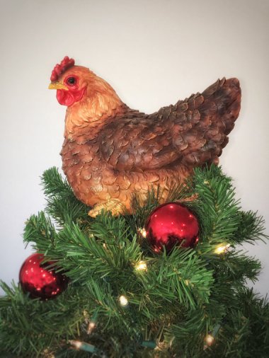 Totally normal Christmas chicken.