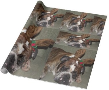 I get it. Some people love English Bulldogs. But couldn't you have found a better-looking one?