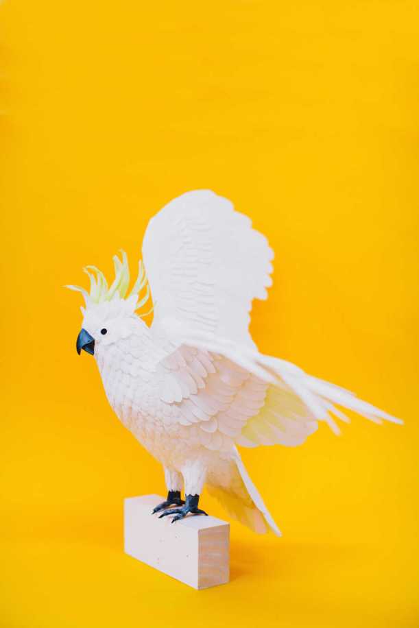 paper-bird-1