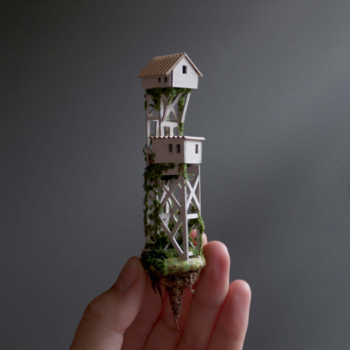 tiny house