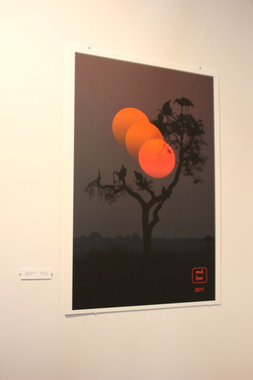 Malcolm D.B. Munro 2