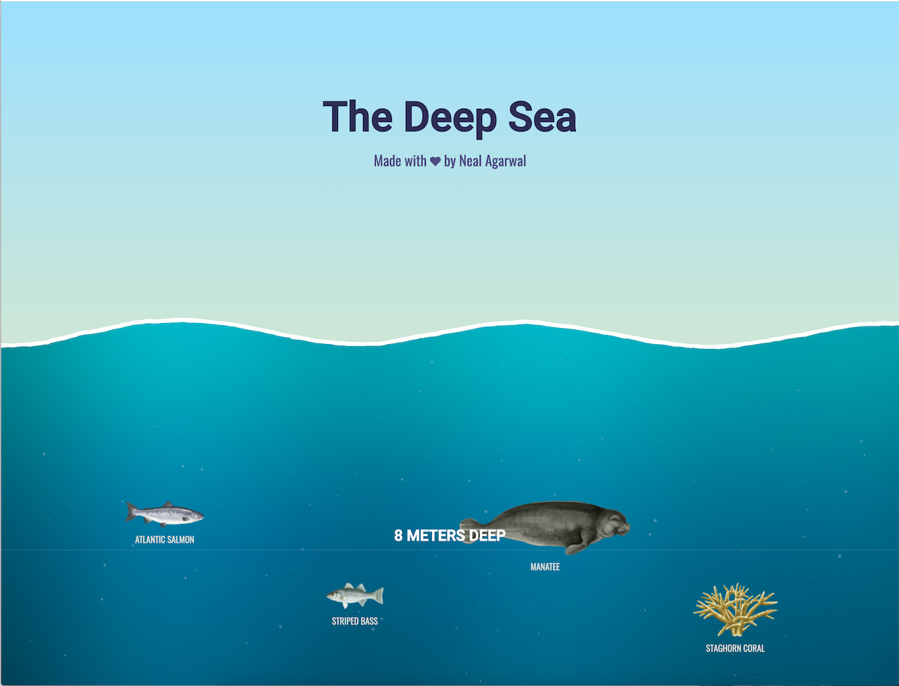 The Deep Sea | My OBT