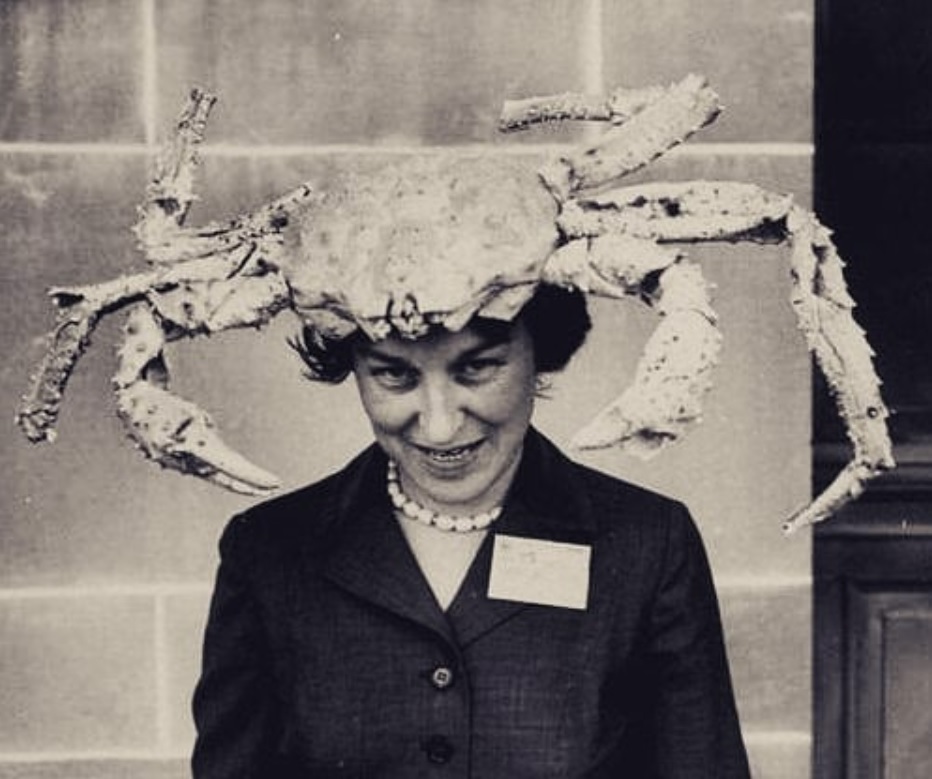 The Museum of Ridiculously Interesting Things | My OBT