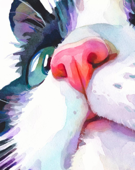 Doggo Drawings | My OBT