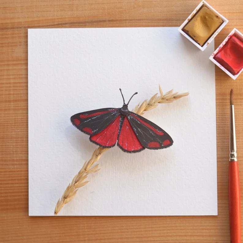 The Paper Ark | My OBT